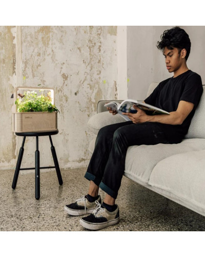 BerlinGreen GreenBox