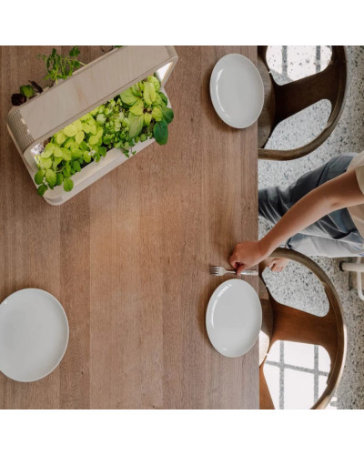 BerlinGreen GreenBox