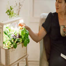 BerlinGreen GreenBox Große Vielfalt Bundle