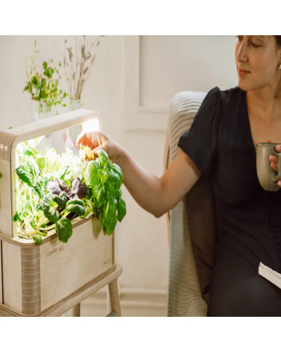 BerlinGreen GreenBox Große Vielfalt Bundle