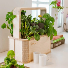 BerlinGreen GreenBox