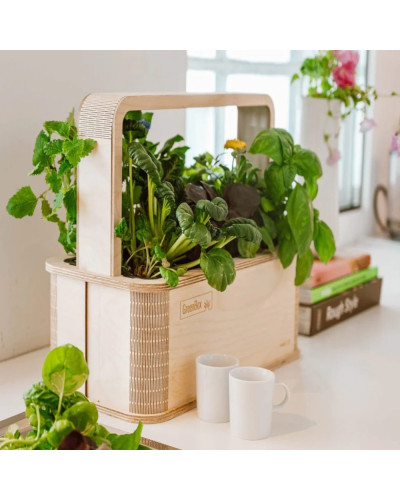 BerlinGreen GreenBox