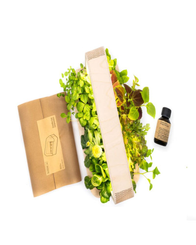 BerlinGreen GreenBox Starter Deluxe Bundle