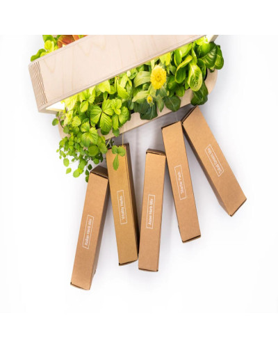 BerlinGreen GreenBox Große Vielfalt Bundle