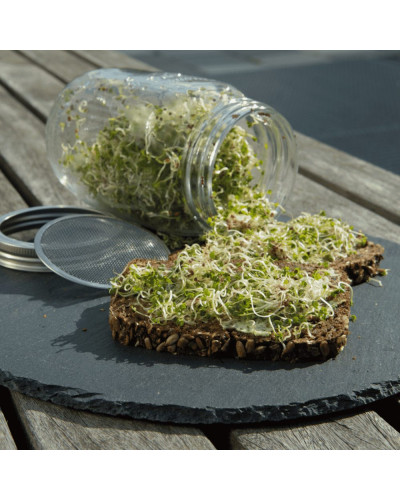 Keimgrün Sprossen Anzuchtset “Sparpaket”