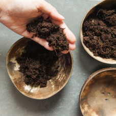 KeimGrün Kokoserde 10 Stk