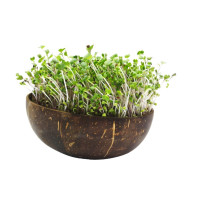 Grow-Grow Nut Starterpaket Mariphil Edition