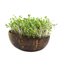 Grow-Grow Nut Starterpaket Mariphil Edition