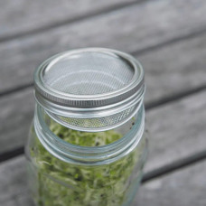 Keimgrün Sprossen Anzuchtset “Sparpaket”