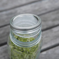 KeimGrün Sprossenglas-Set