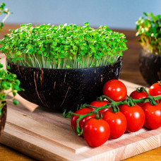 Grow-Grow Nut Willkommenspaket