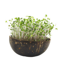 Grow-Grow Nut Starterpaket Mariphil Edition