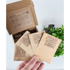 BerlinGreen PlantPlugs Asian Herb Mix 8-Pack