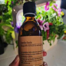 BerlinGreen GreenBox Urban Jungle Bundle