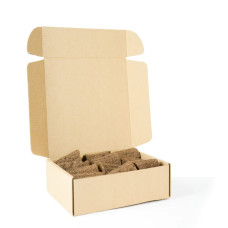 BerlinGreen PlantPlugs Experimental Set 24er-Pack