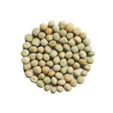 KeimGrün Bio-Keimsaat Erbsen (Erbsen Samen) 100 g