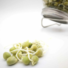 KeimGrün Bio-Keimsaat Erbsen (Erbsen Samen) 100 g