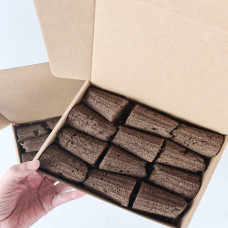 BerlinGreen PlantPlugs Experimental Set 24er-Pack