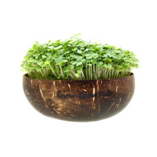 Grow-Grow Nut Starterpaket