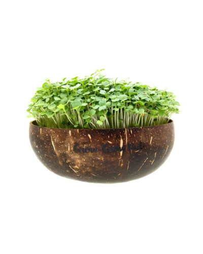 Grow-Grow Nut Starterpaket