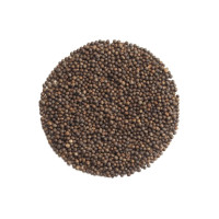 OraGarden Bio-Keimsaat Grünkohl Black Mandingo (Grünkohl Samen) 30 g