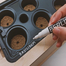 BerlinGreen GreenBox Urban Jungle Bundle