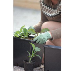 Nelson Garden Gartenhandschuhe Comfort Grün 10