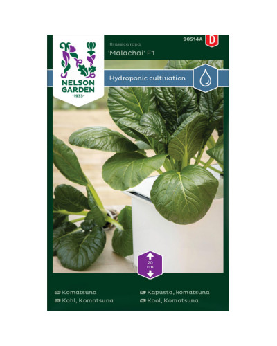 Nelson Garden Kohl, Komatsuna Malachai F1