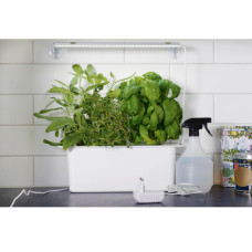 Nelson Garden Pflanzenlampe LED mit Adapter 15W 39 cm