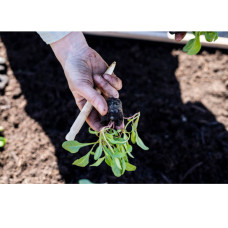 Nelson Garden Umpflanzset Set 3 Werkzeuge