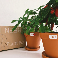 BerlinGreen GreenBox PlantPots & Magic Pen Set