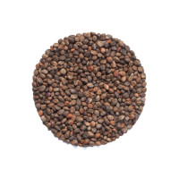 KeimGrün Bio-Keimsaat Radieschen Rot (Radieschen Rot Samen) 50 g