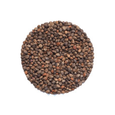 KeimGrün Bio-Keimsaat Radieschen Rot (Radieschen Rot Samen) 50 g