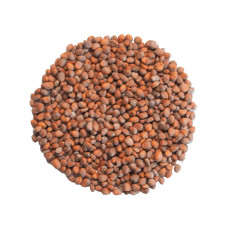 KeimGrün Bio-Keimsaat Rettich (Rettich Samen) 50 g