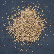 KeimGrün Bio-Keimsaat Rotklee (Rotklee Samen) 50 g