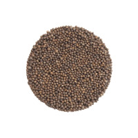 KeimGrün Bio-Keimsaat Rotkohl (Rotkohl Samen) 50 g