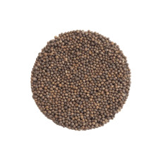 KeimGrün Bio-Keimsaat Rotkohl (Rotkohl Samen) 50 g