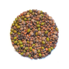 KeimGrün Bio-Sprossenmix “Salat” 50 g