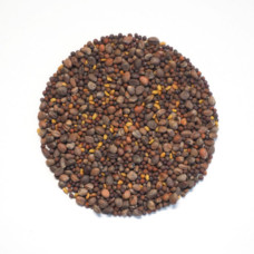 KeimGrün Bio-Sprossenmix “Vitamin” 50 g