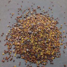 KeimGrün Bio-Sprossenmix “Vitamin” 50 g