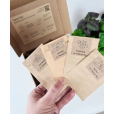 BerlinGreen PlantPlugs Starter Set 8-Pack