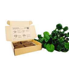 BerlinGreen PlantPlugs Asian Greens Mix 8-Pack