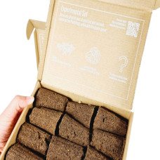 BerlinGreen PlantPlugs Experimental Set 24er-Pack