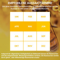 Greenedge Ummantelte Blumensamen Nektarwiese 0.6 kg