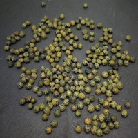 KeimGrün Bio-Keimsaat Grüne Linsen (Grüne Linsen Samen) 100 g