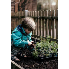 Nelson Garden Anzuchtschale Solid 24x38 cm