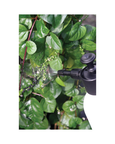 Nelson Garden Drucksprüher 2 Liter