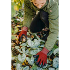 Nelson Garden Gartenhandschuhe Cosy Weinrot 10