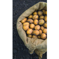 Nelson Garden Jutesack 70 x 110 cm