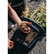 Nelson Garden Kartoffeltopf